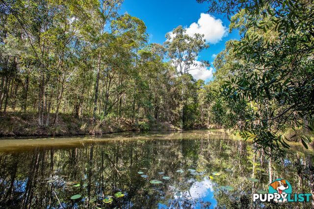 43 Jubilee Road Carters Ridge QLD 4563