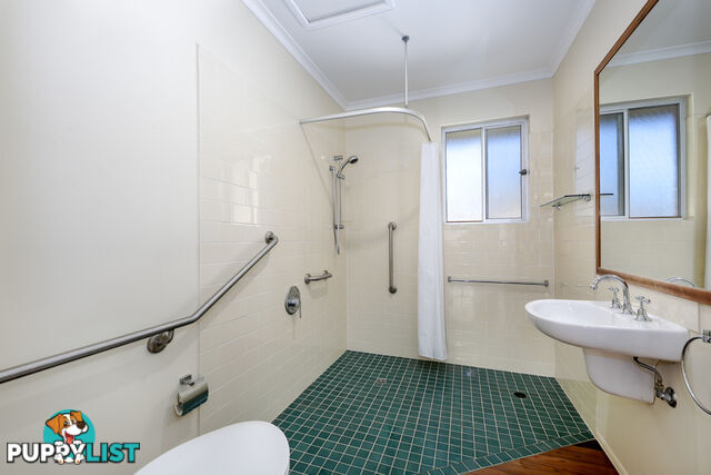 24 Moorindil Street Tewantin QLD 4565