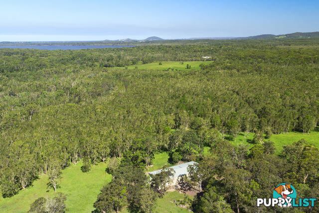 191 Hollett Road Noosaville QLD 4566