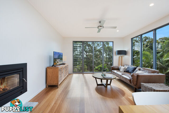 31 Warana Street Noosa Heads QLD 4567