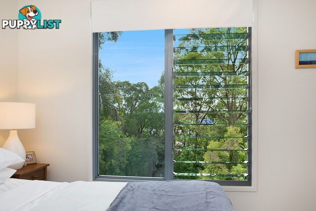 31 Warana Street Noosa Heads QLD 4567