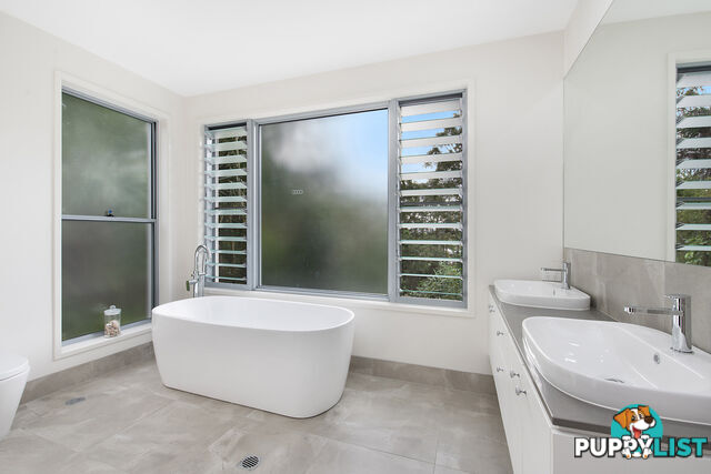 31 Warana Street Noosa Heads QLD 4567