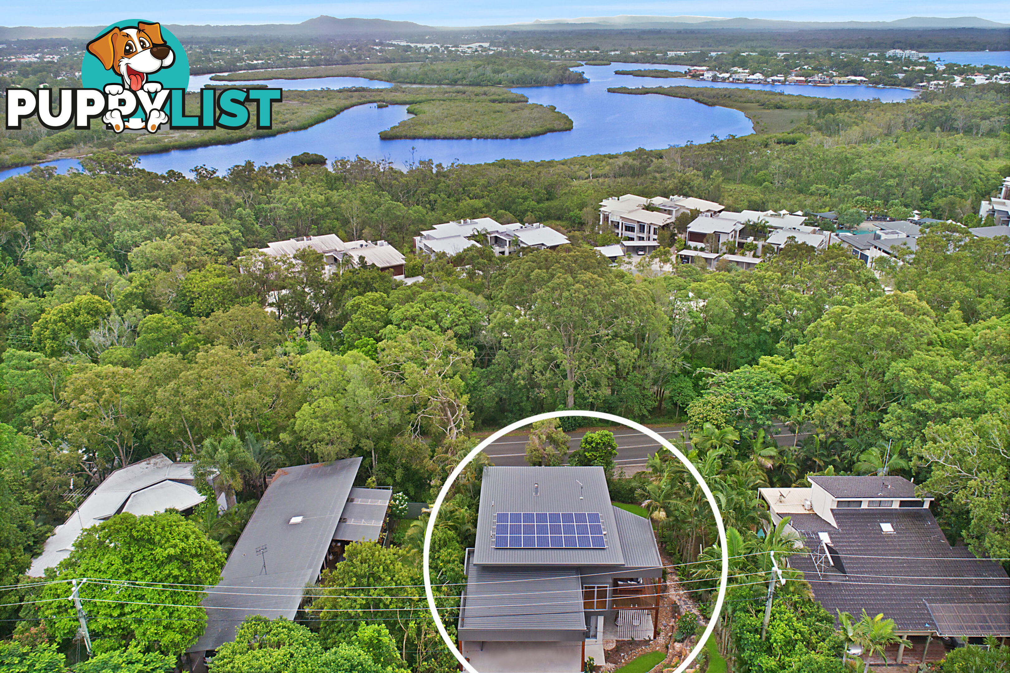 31 Warana Street Noosa Heads QLD 4567