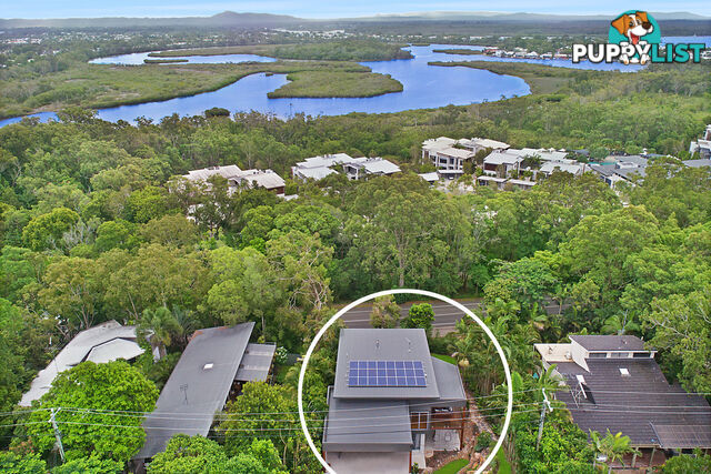 31 Warana Street Noosa Heads QLD 4567