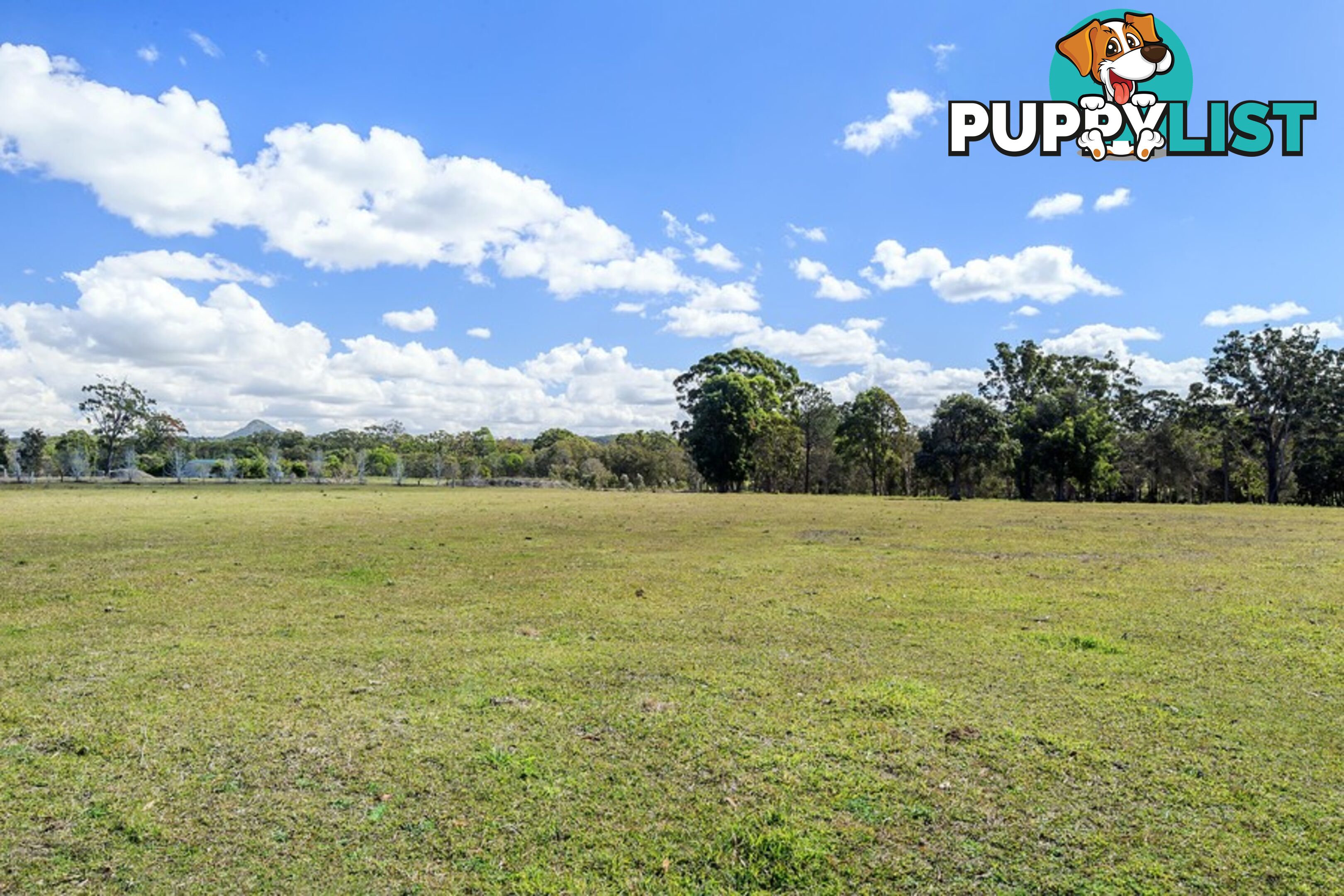 Hollett Acres 99 Hollett Road Noosaville QLD 4566