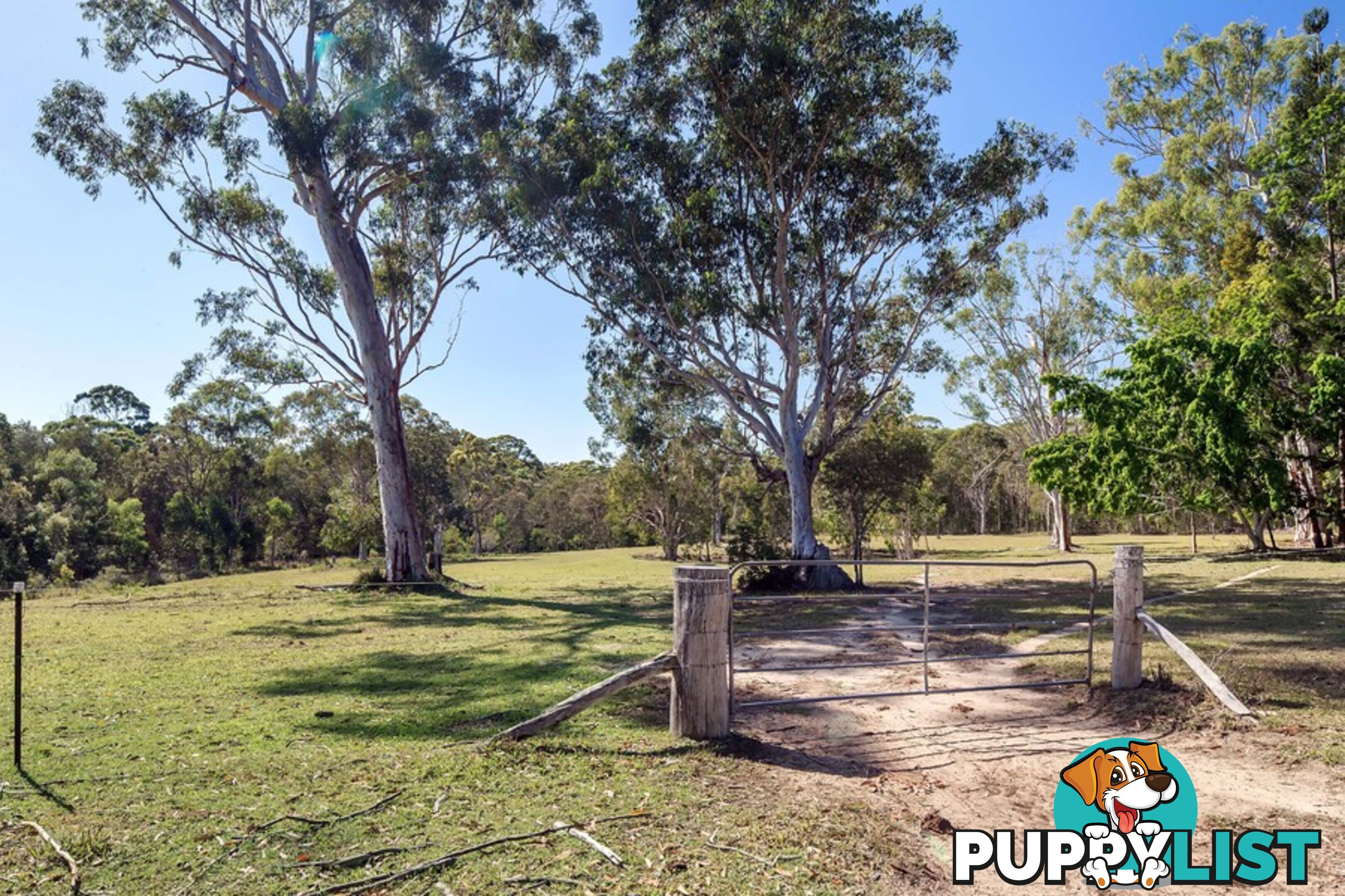 Hollett Acres 99 Hollett Road Noosaville QLD 4566