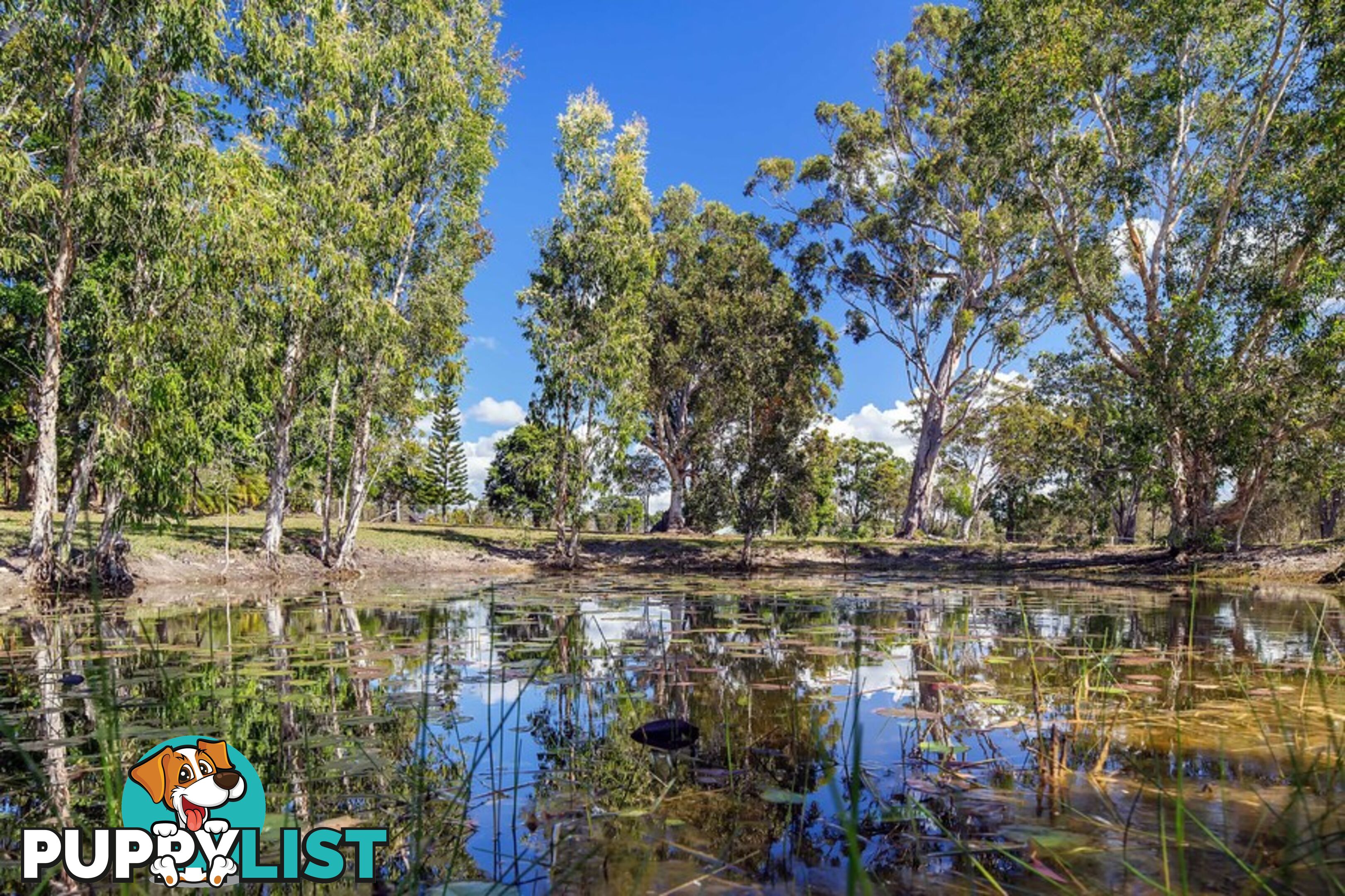 Hollett Acres 99 Hollett Road Noosaville QLD 4566