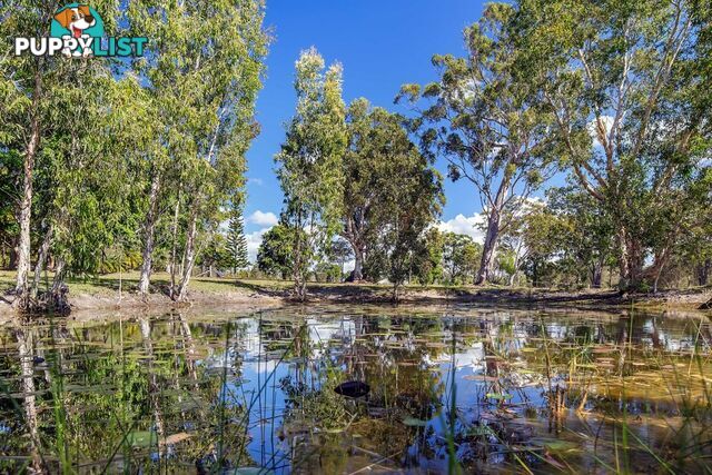 Hollett Acres 99 Hollett Road Noosaville QLD 4566