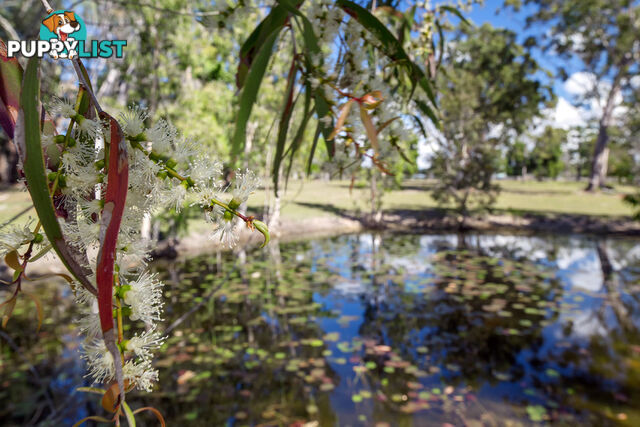 Hollett Acres 99 Hollett Road Noosaville QLD 4566