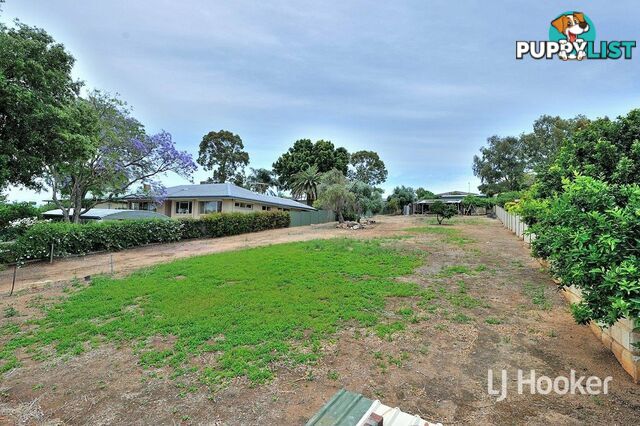 515 Horwood Road SWAN VIEW WA 6056