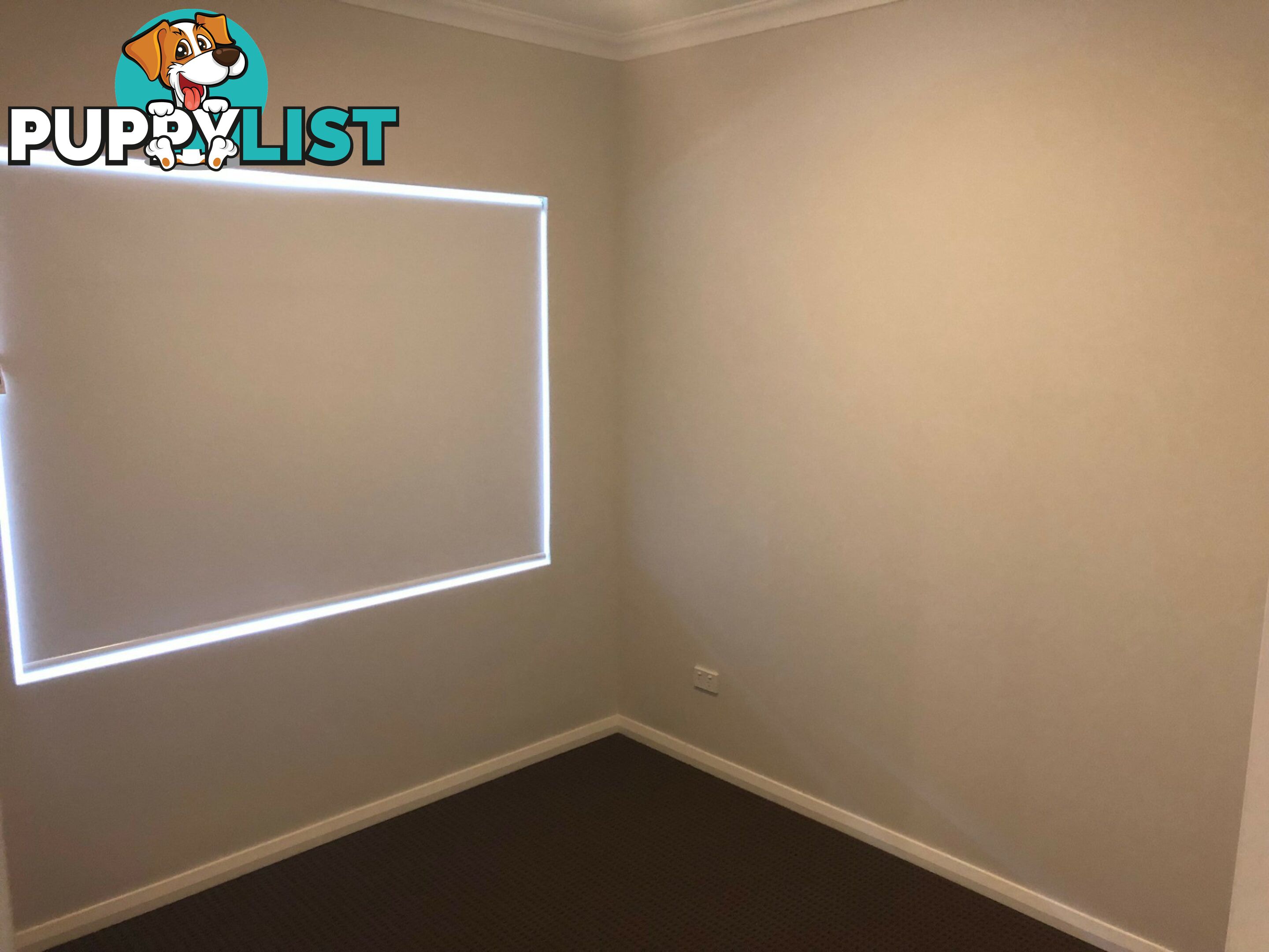 Unit 4/34 Loton Ave MIDLAND WA 6056
