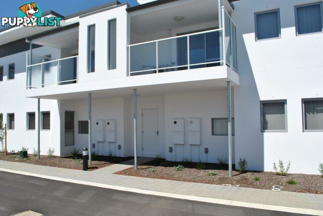 5/13 Spring Avenue MIDLAND WA 6056