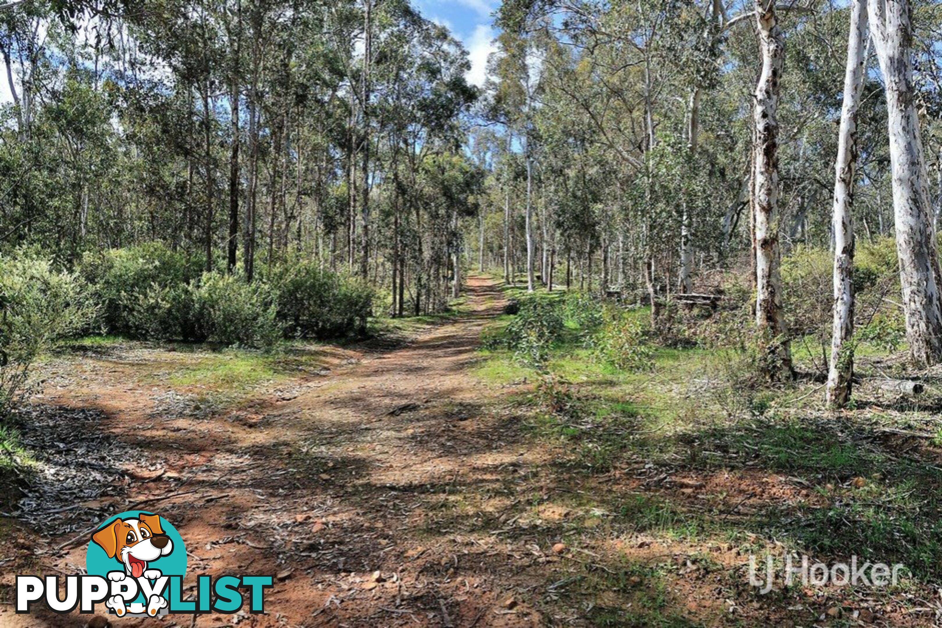 669 Reen Road GIDGEGANNUP WA 6083