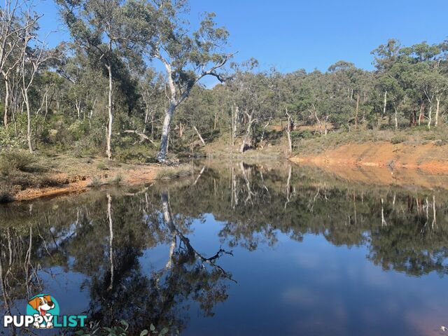 669 Reen Road GIDGEGANNUP WA 6083