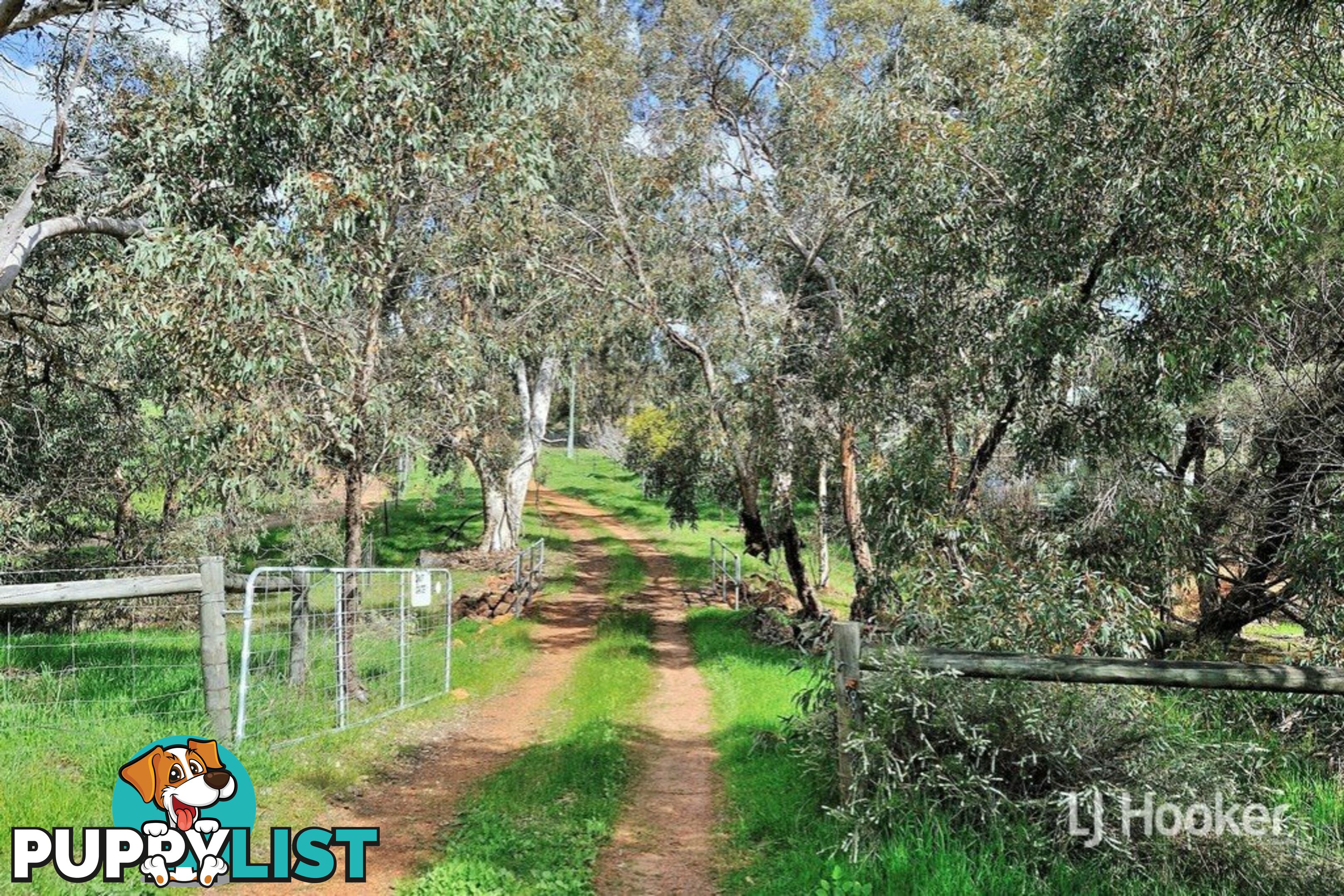 669 Reen Road GIDGEGANNUP WA 6083