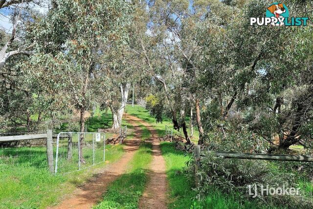 669 Reen Road GIDGEGANNUP WA 6083