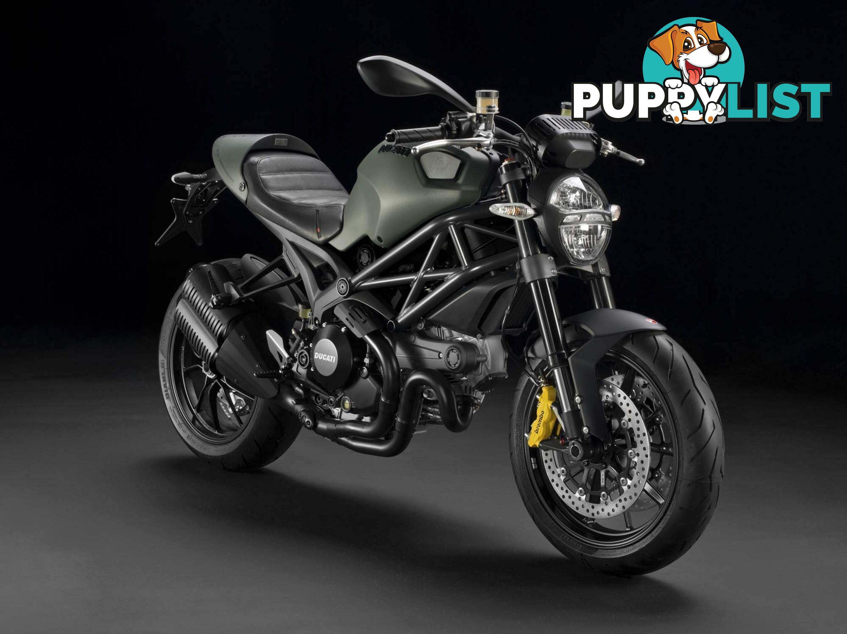2012 Ducati Monster 1100 Evo ABS DIESEL