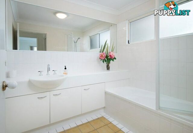 19/82 Russell Terrace INDOOROOPILLY QLD 4068