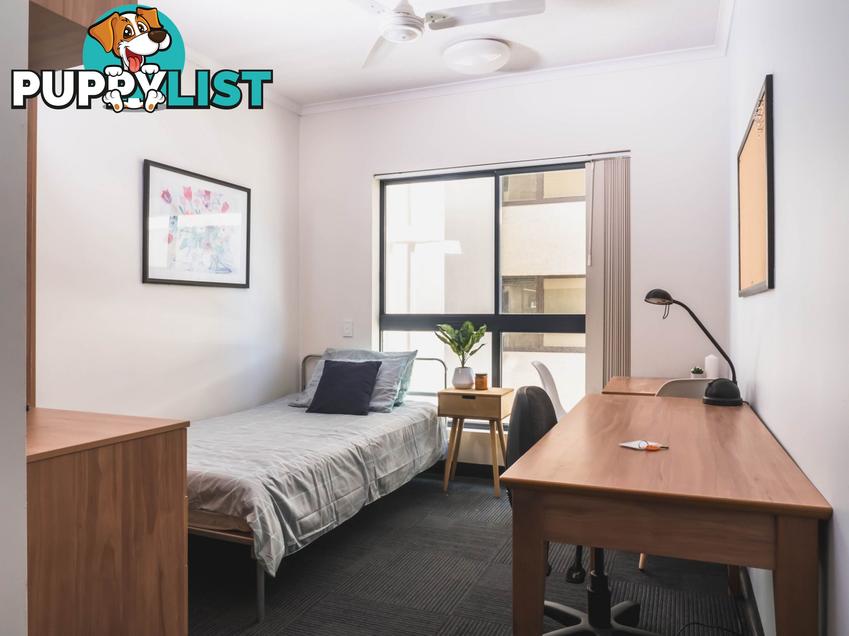 1615/108 Margaret Street BRISBANE CITY QLD 4000