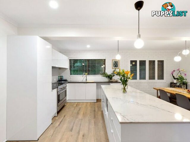 149 Samuel Street CAMP HILL QLD 4152