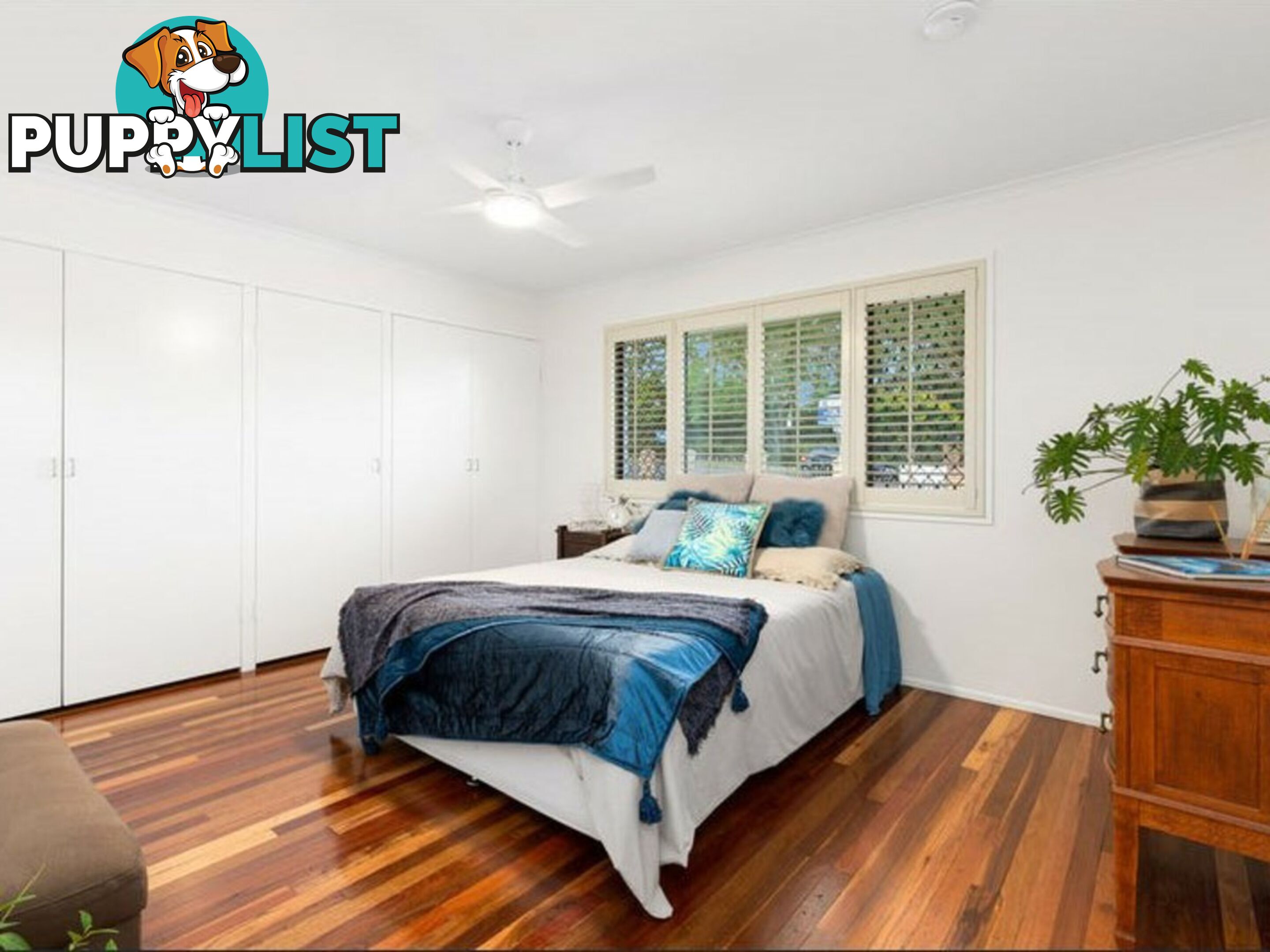 149 Samuel Street CAMP HILL QLD 4152
