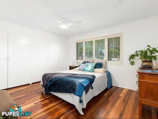 149 Samuel Street CAMP HILL QLD 4152