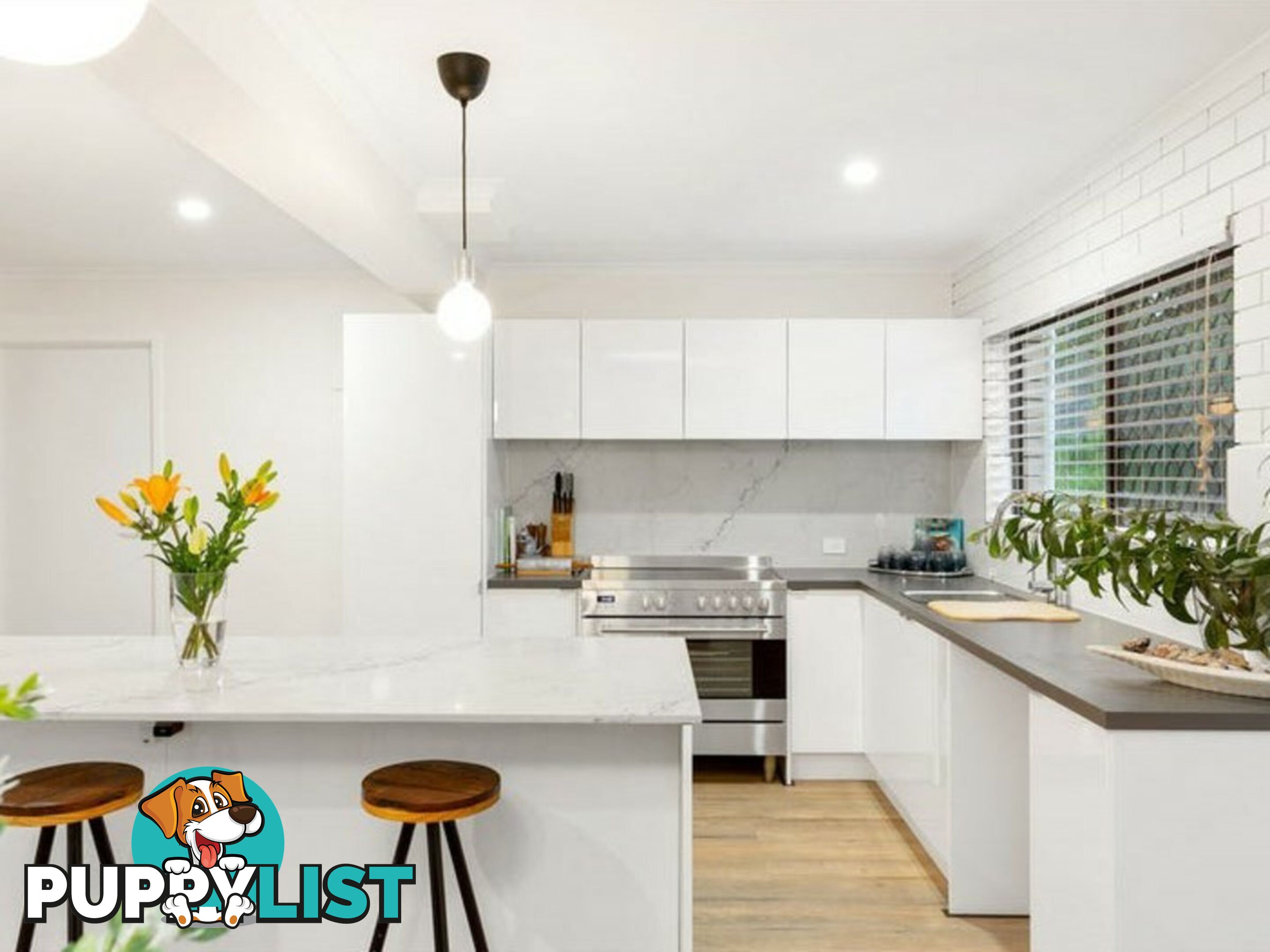 149 Samuel Street CAMP HILL QLD 4152