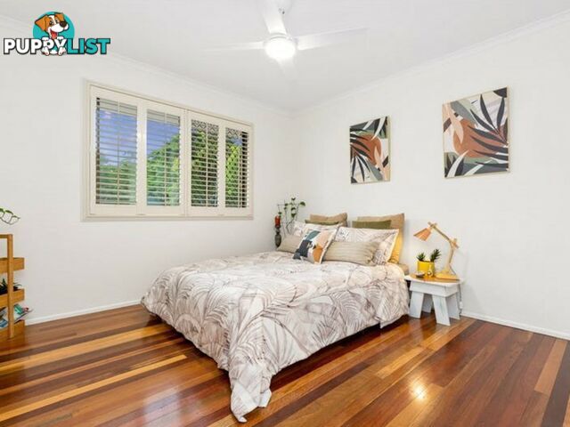 149 Samuel Street CAMP HILL QLD 4152