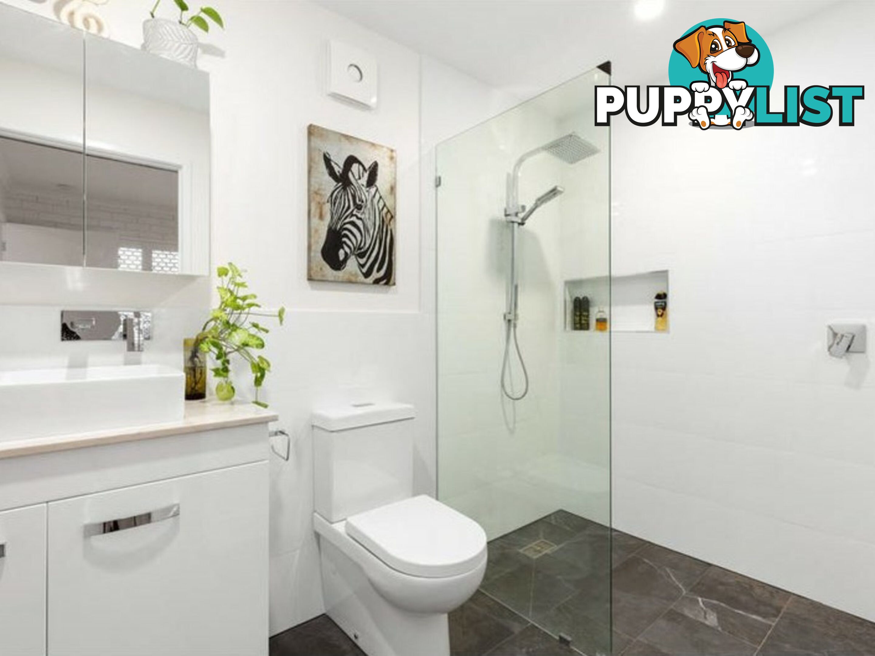 149 Samuel Street CAMP HILL QLD 4152