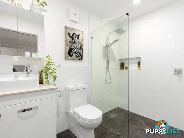 149 Samuel Street CAMP HILL QLD 4152