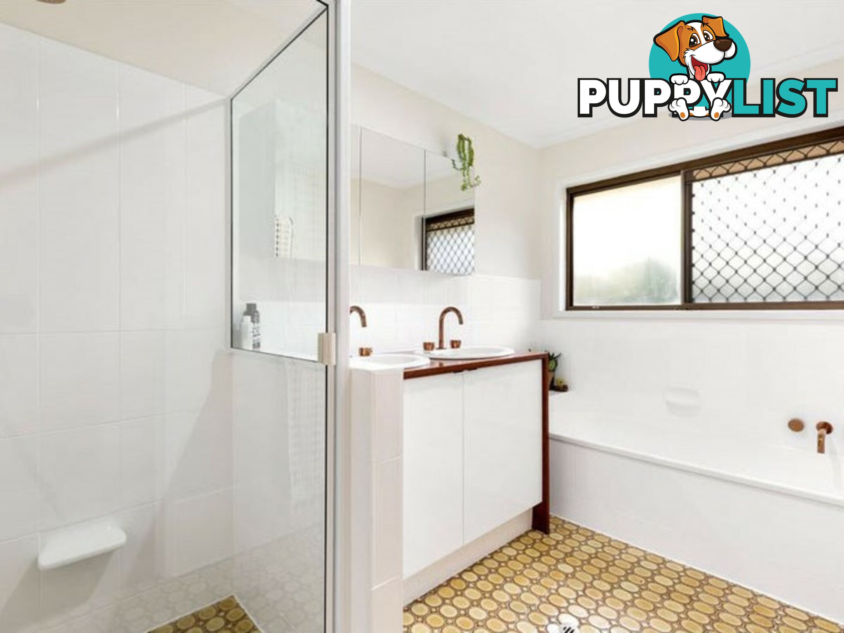 149 Samuel Street CAMP HILL QLD 4152