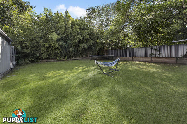 105 Franklin Street ANNERLEY QLD 4103