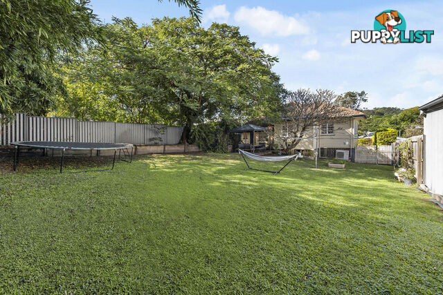 105 Franklin Street ANNERLEY QLD 4103
