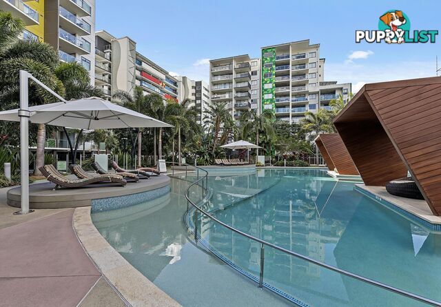 30309/40 Duncan Street WEST END QLD 4101