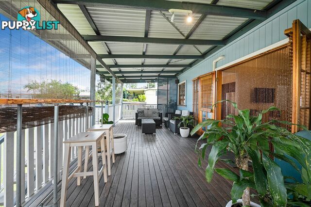 49 Archibald Street FAIRFIELD QLD 4103