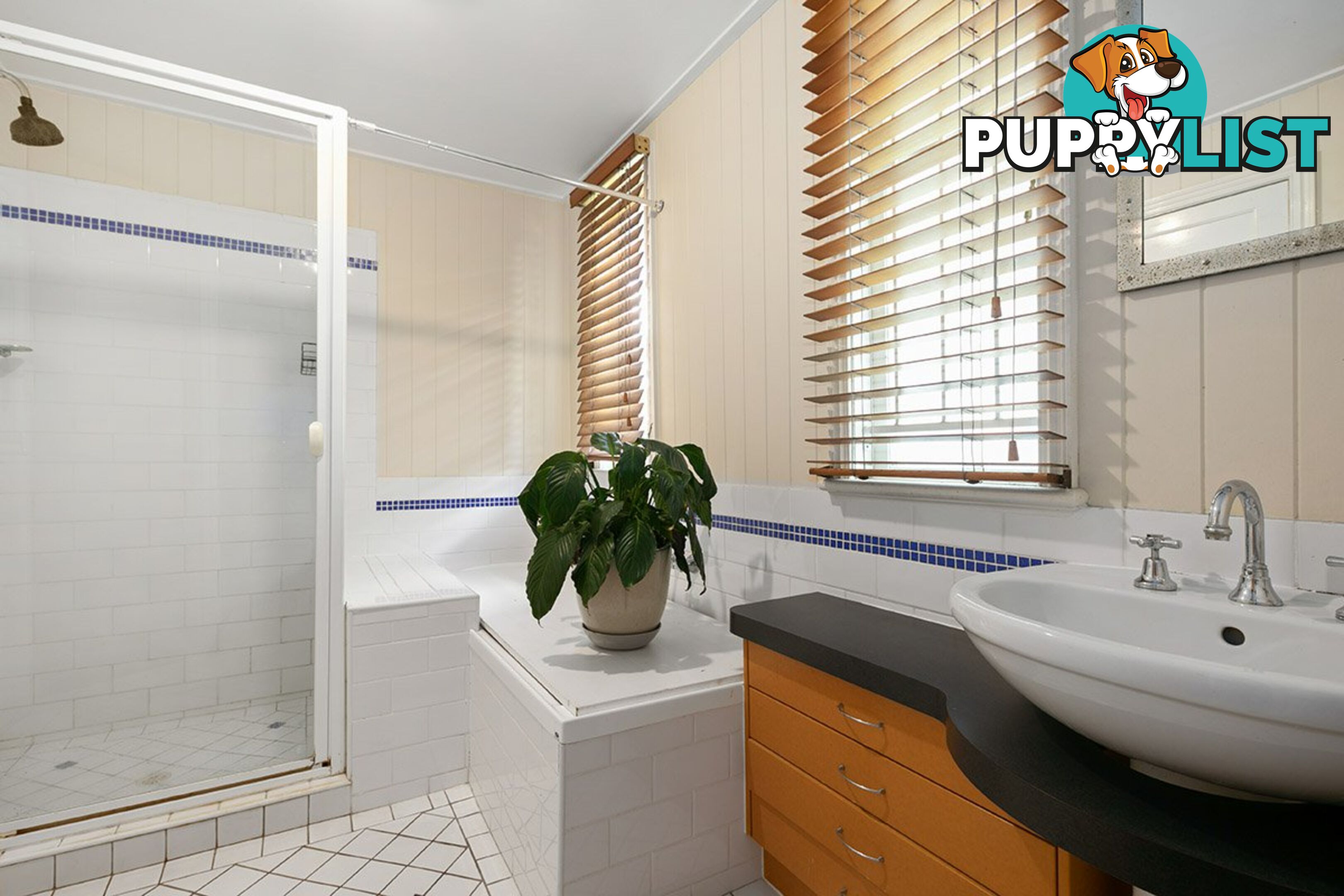 49 Archibald Street FAIRFIELD QLD 4103