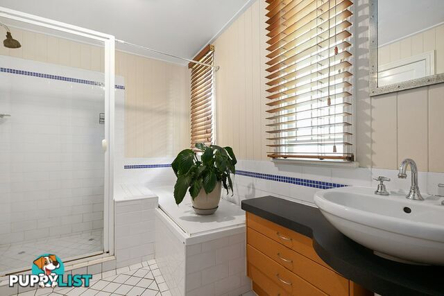 49 Archibald Street FAIRFIELD QLD 4103