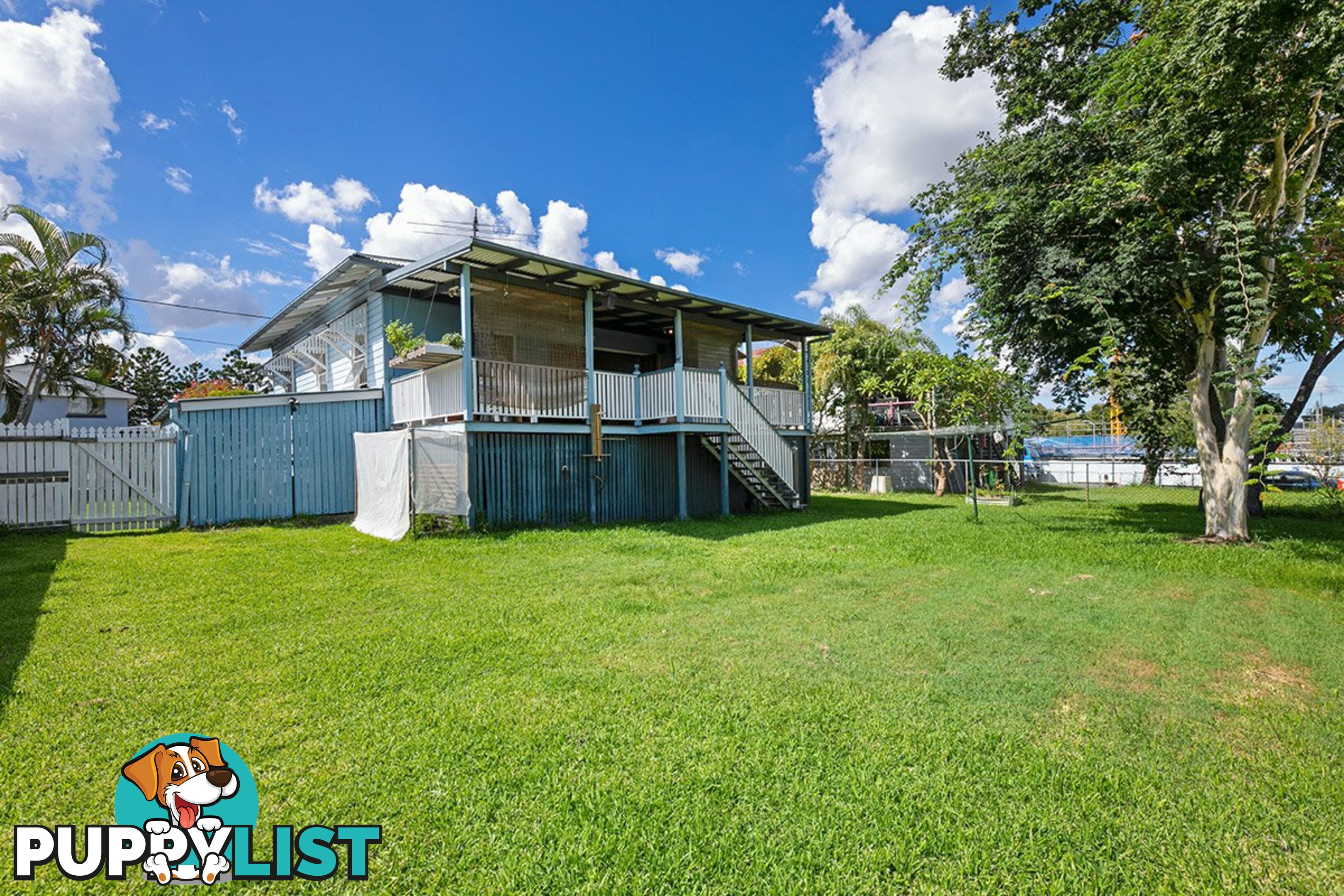 49 Archibald Street FAIRFIELD QLD 4103