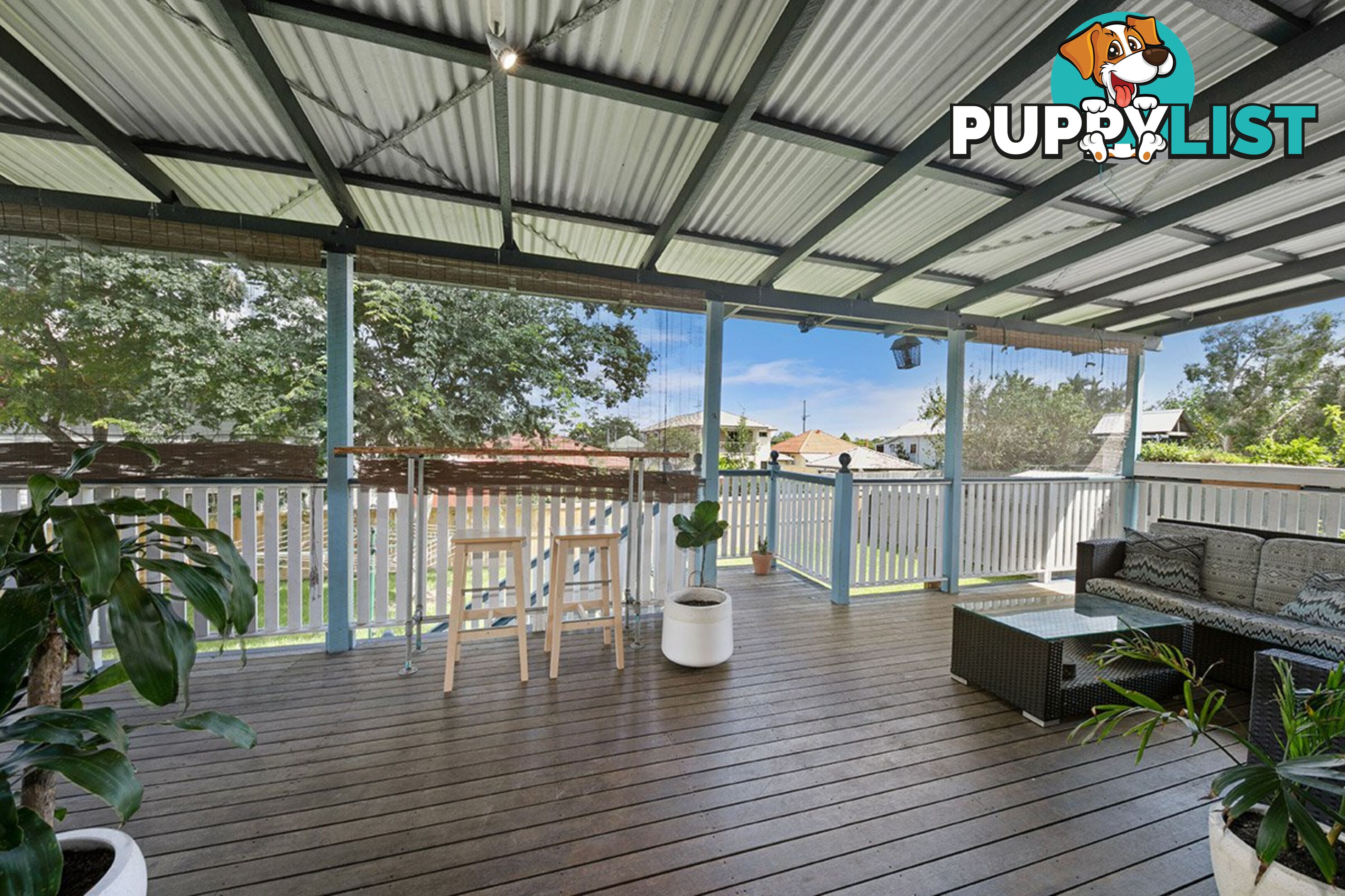 49 Archibald Street FAIRFIELD QLD 4103