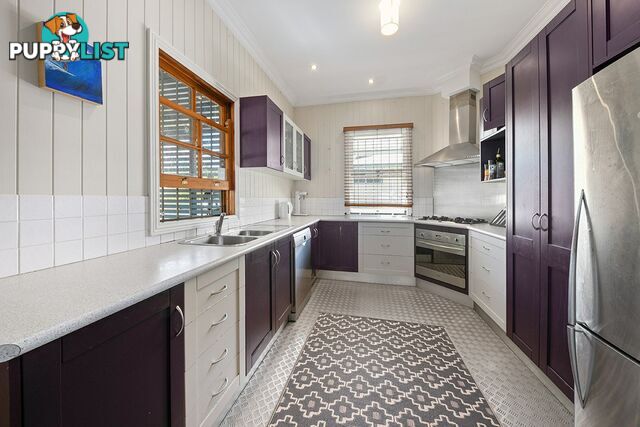 49 Archibald Street FAIRFIELD QLD 4103