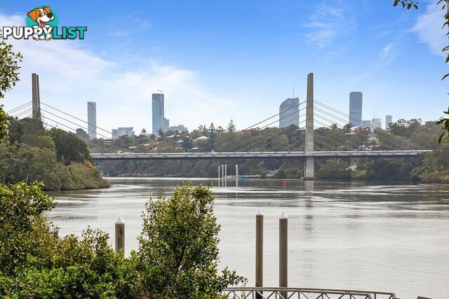 49 Archibald Street FAIRFIELD QLD 4103