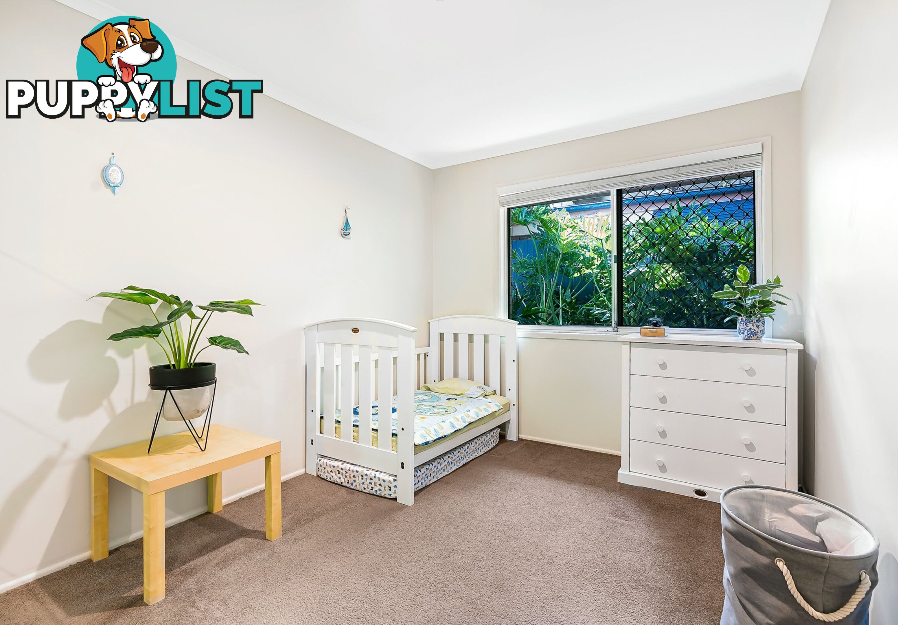 3 Hamel Road HOLLAND PARK WEST QLD 4121