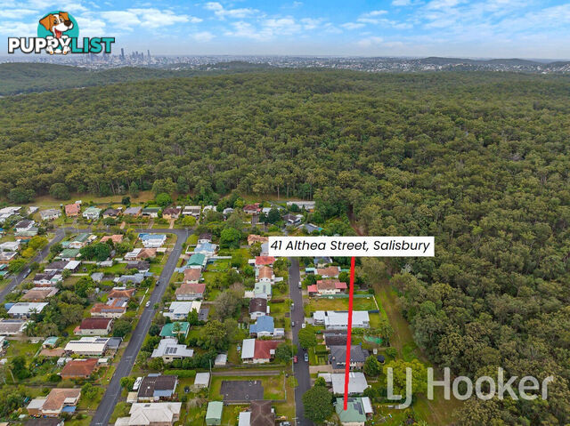 41 Althea Street SALISBURY QLD 4107