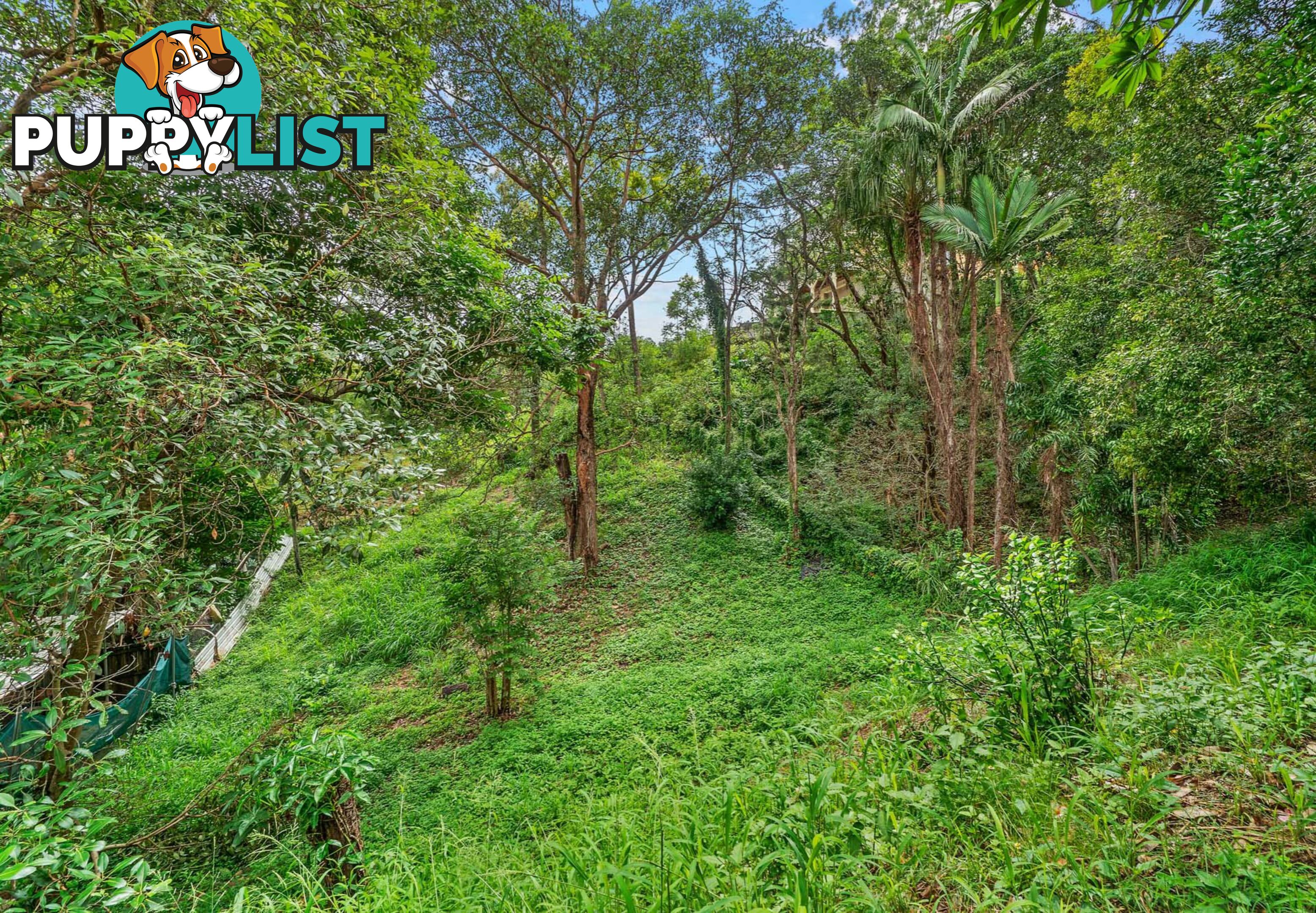 21 Fairfield Street ANNERLEY QLD 4103