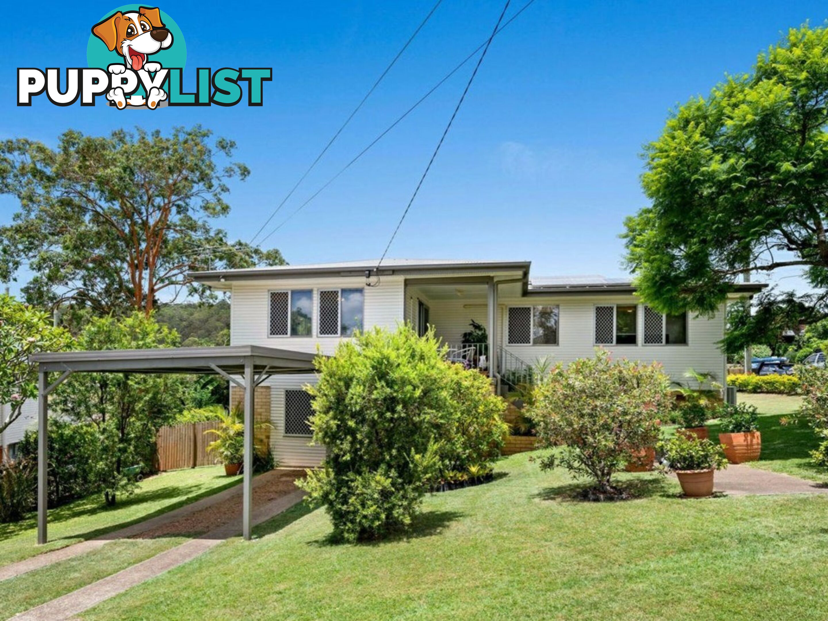 16 Kingwell Street MOOROOKA QLD 4105