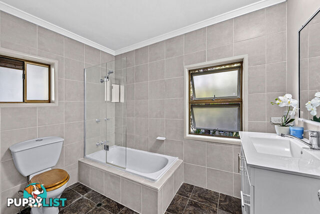 34 Norman Street ANNERLEY QLD 4103