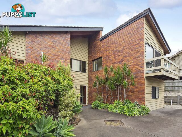 41 Lagonda Street ANNERLEY QLD 4103