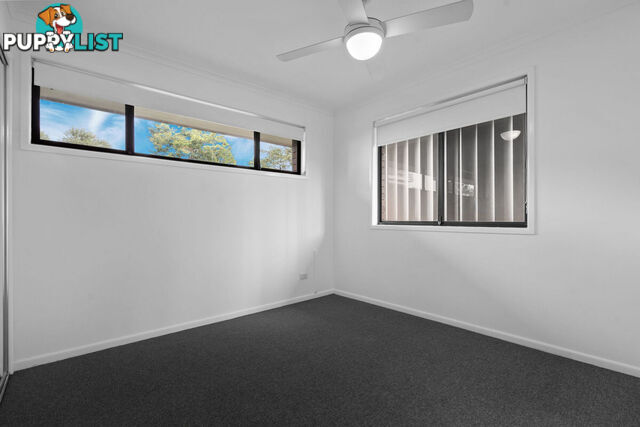 3 Cam Lane ANNERLEY QLD 4103