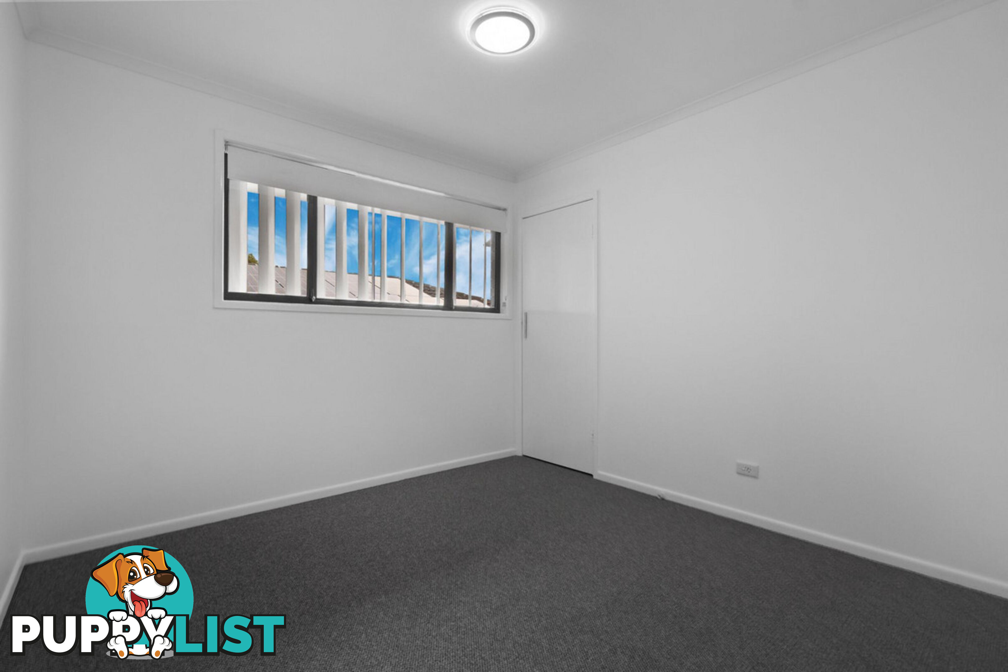 3 Cam Lane ANNERLEY QLD 4103