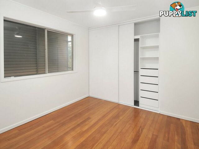 14 Kintore Street ANNERLEY QLD 4103